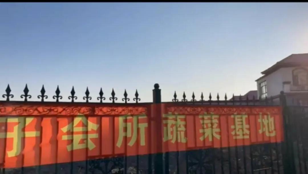 愛瑪家月子會所蔬菜基地
