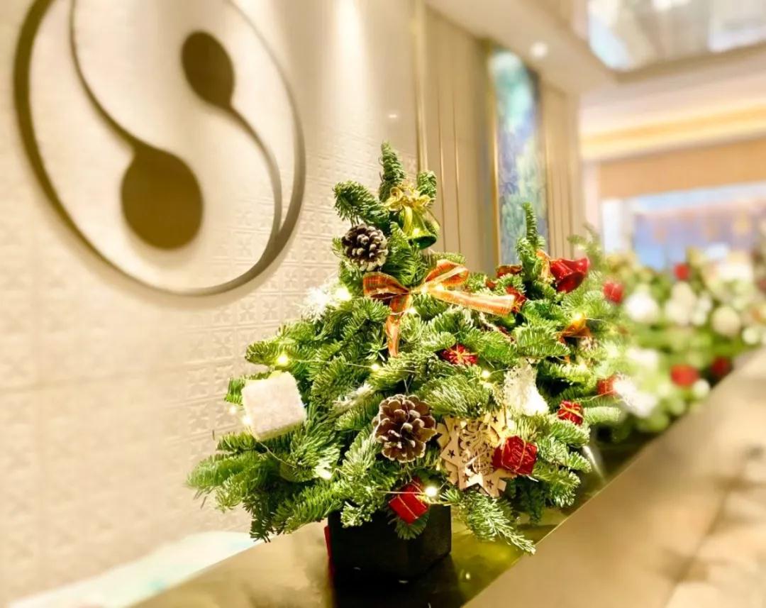 崇恩·金紫荊北歐諾貝松圣誕樹DIY活動回顧